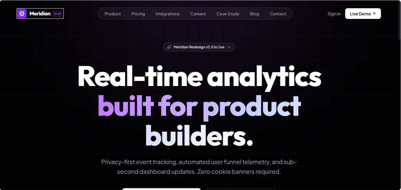 Meridian Analytics project preview